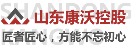 菏柴动力系统（山东）有限公司