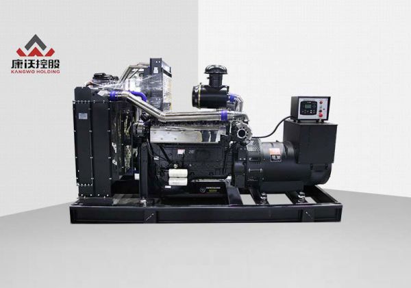 250KW欧幔德发电机组